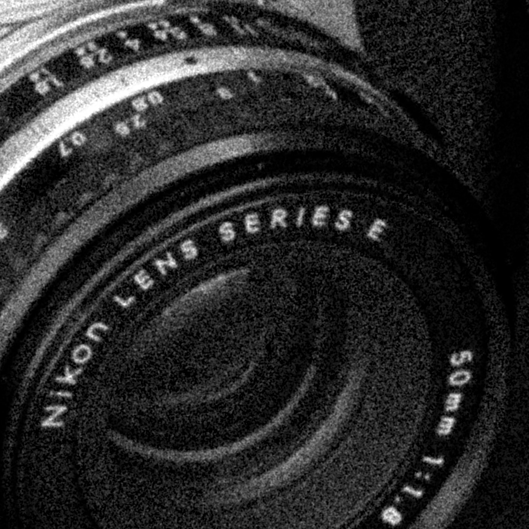 AF Zoom-Nikkor 28-105mm f/3.5-4.5D IF sample photo. Nikon lens with grain photography