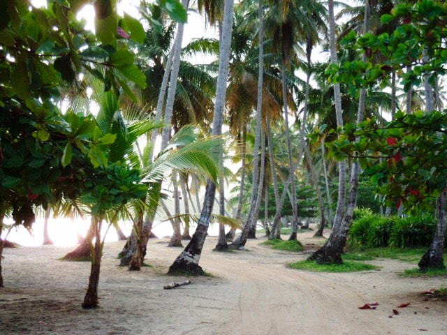 Sony DSC-S2100 sample photo. Quiet beach road....timeless photography