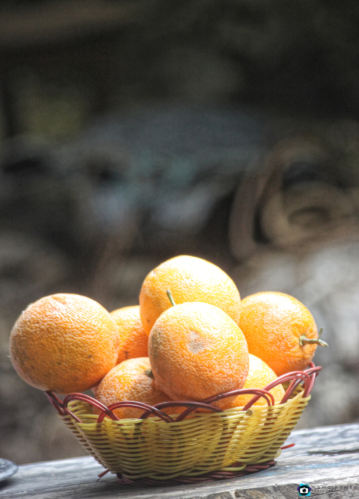 Canon EF 100-300mm f/5.6 sample photo