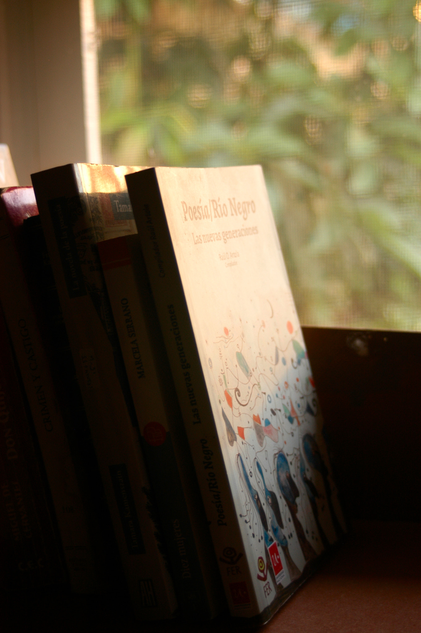 AF Zoom-Nikkor 35-70mm f/3.3-4.5 N sample photo. Books photography