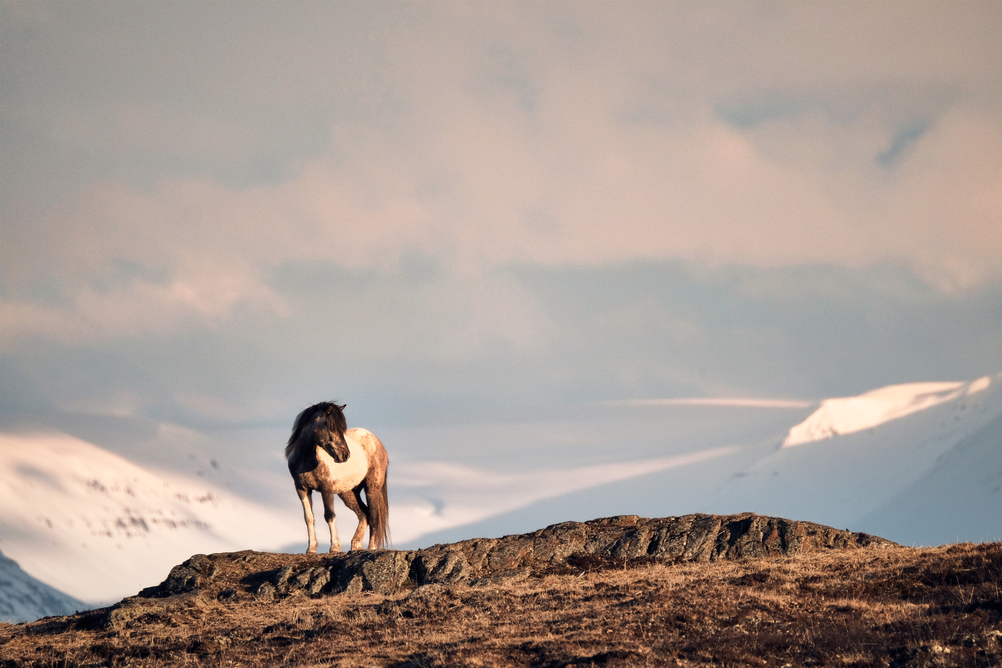 XF100-400mmF4.5-5.6 R LM OIS WR + 1.4x sample photo. On top of the world photography