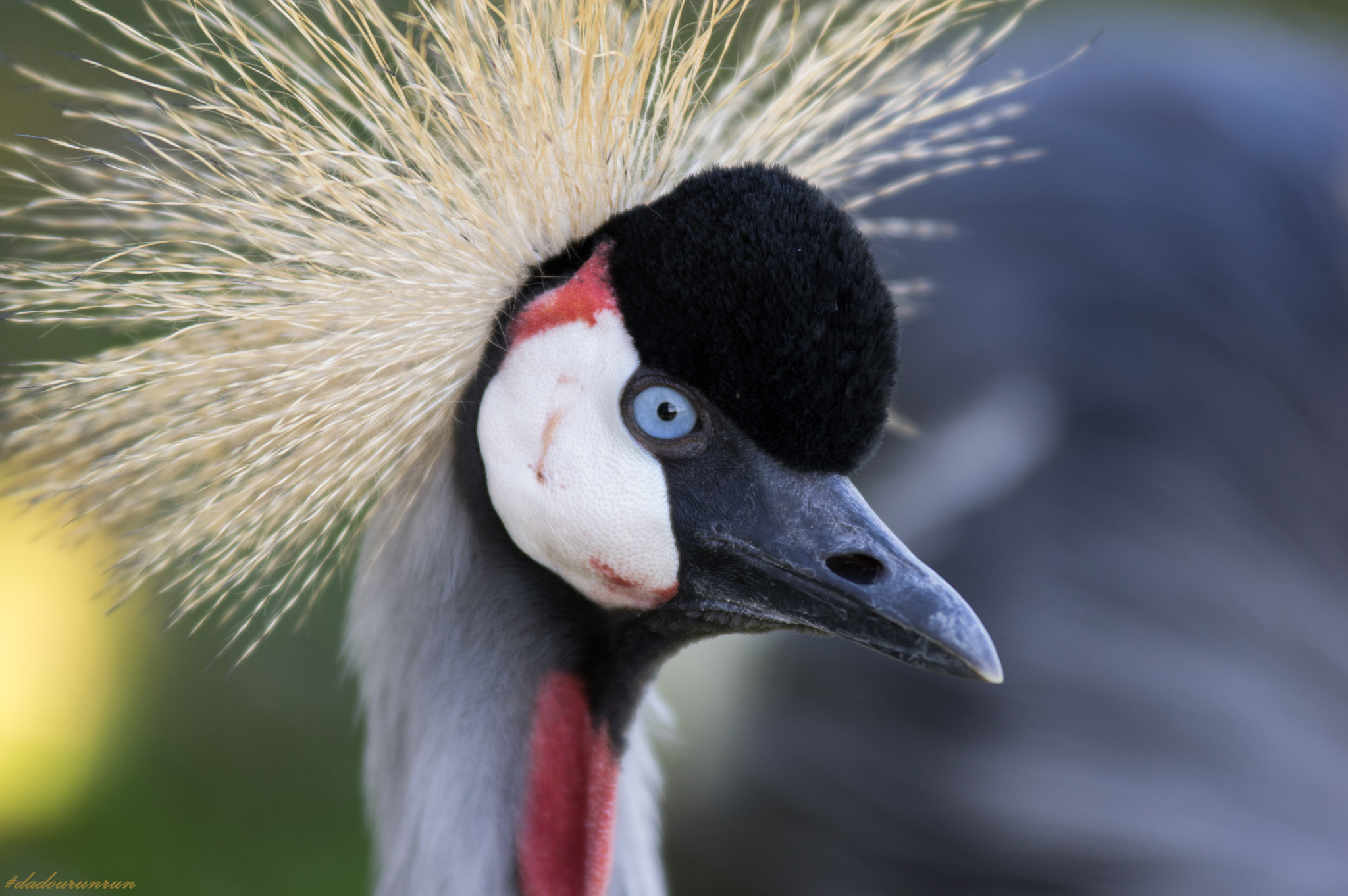 Pentax K-3 sample photo. 22785587286.jpg photography
