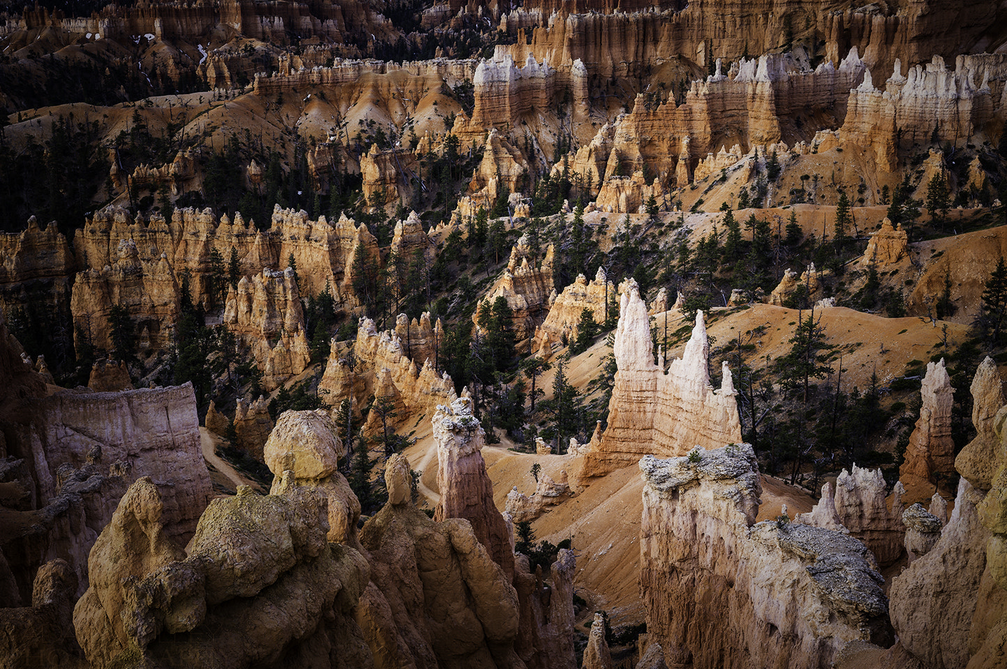 Canon EOS 6D + ZEISS Milvus 50mm F1.4 sample photo. Bryce photography