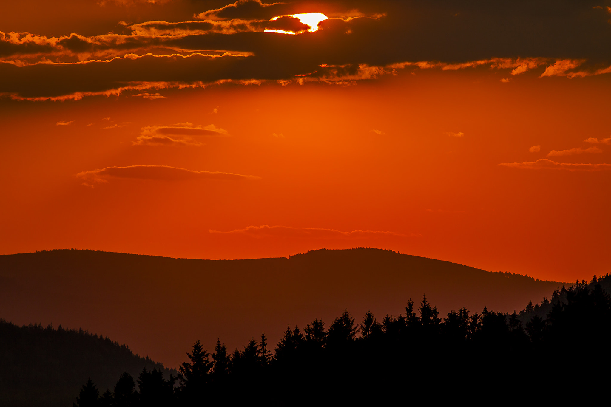 Canon EOS 50D + Canon EF 300mm F4L IS USM sample photo. Sun down photography