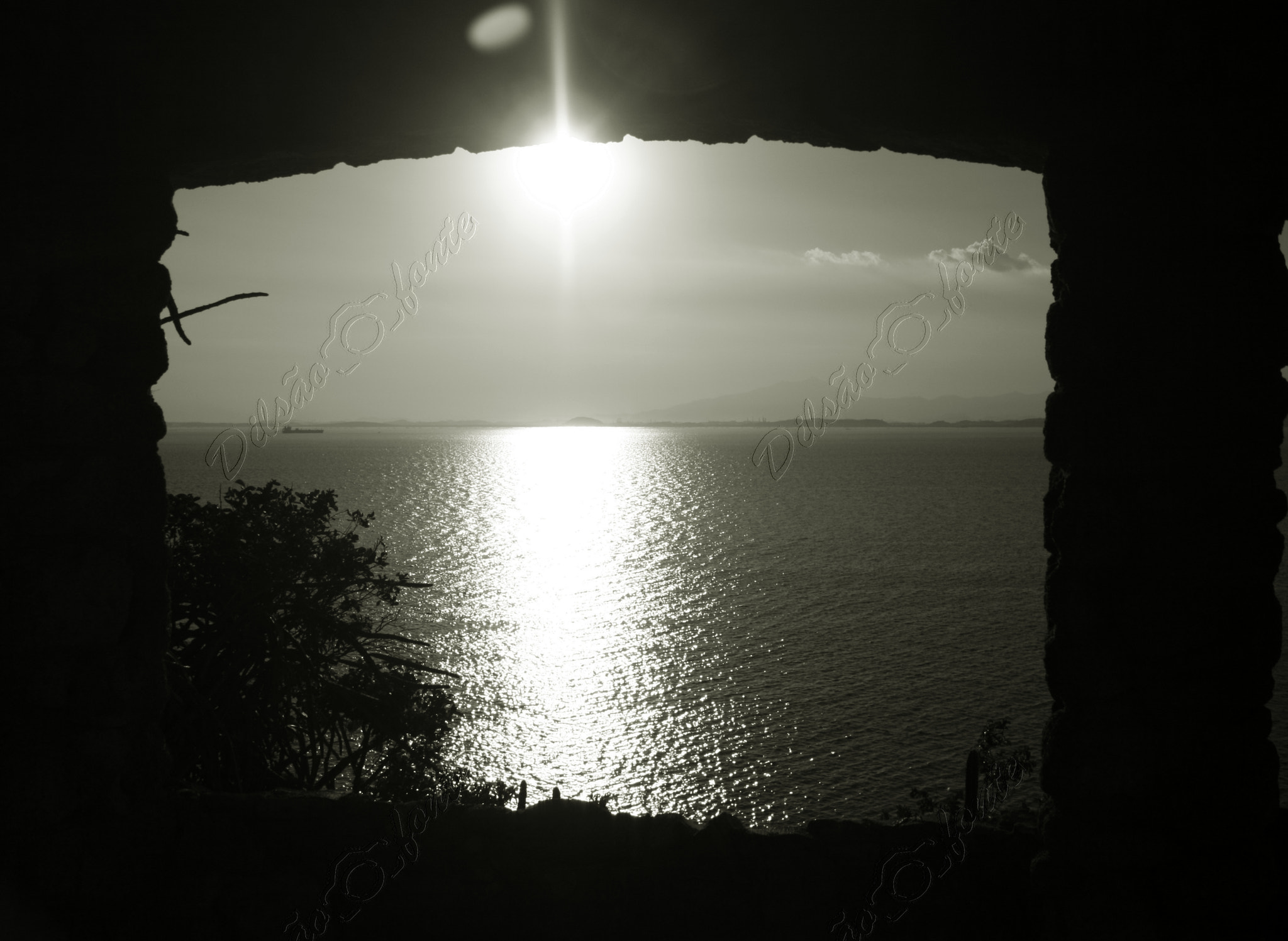 Canon EOS 40D sample photo. Parque dark de mattos-ilha de paquetá photography