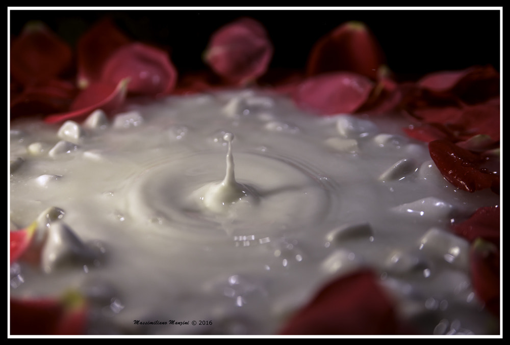 Sony 28-75mm F2.8 SAM sample photo. Untitled photography
