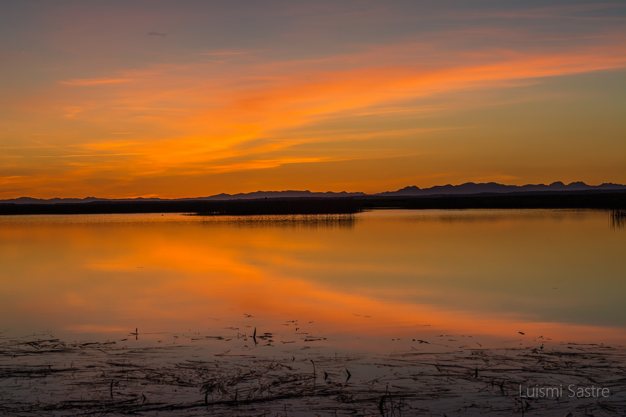 Nikon D5200 + Sigma 50mm F1.4 DG HSM Art sample photo. Laguna sentiz photography