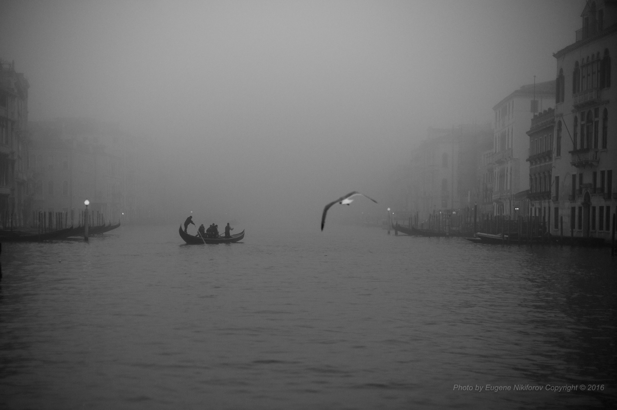 Leica M9 + Leica Noctilux-M 50mm F0.95 ASPH sample photo. Before the sunrise,  grand canal, venice photography