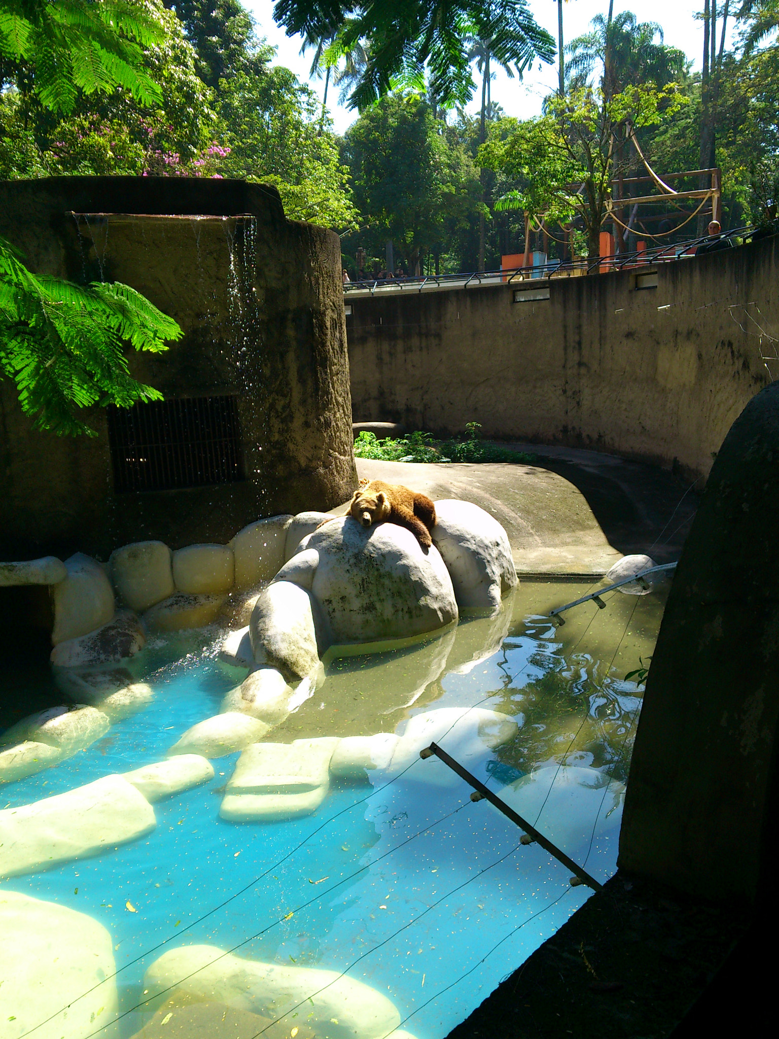 Sony Ericsson Xperia pro sample photo. Dsc_1102.jpg photography