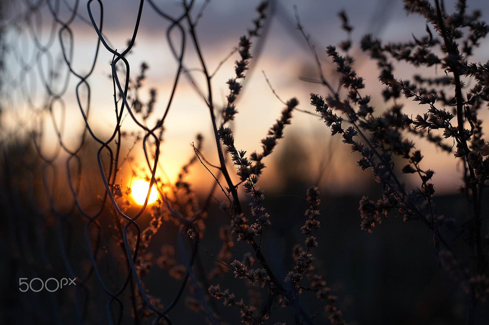 Canon EOS 5D + Canon EF 50mm f/1.8 sample photo. Закат photography