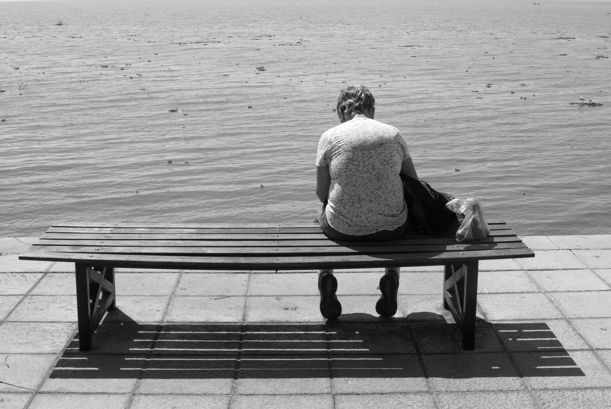 Nikon 1 V1 + Nikon 1 Nikkor 18.5mm F1.8 sample photo. Sad and lonely, ajijic, mexico photography