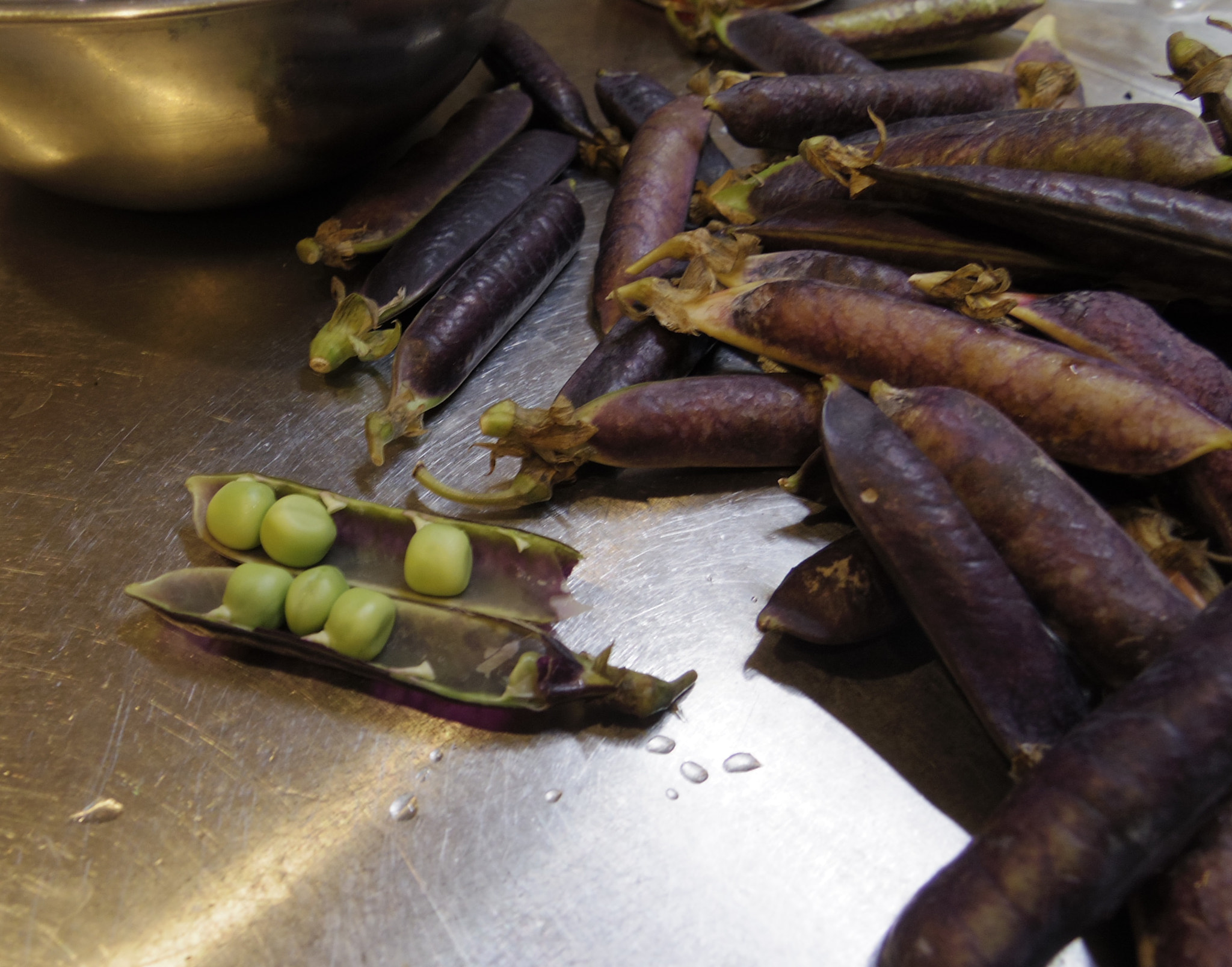 Pentax Q7 + Pentax 02 Standard Zoom sample photo. Purple snow peas photography