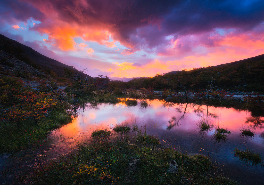 Dave Morrow (DaveMorrow) Photos / 500px