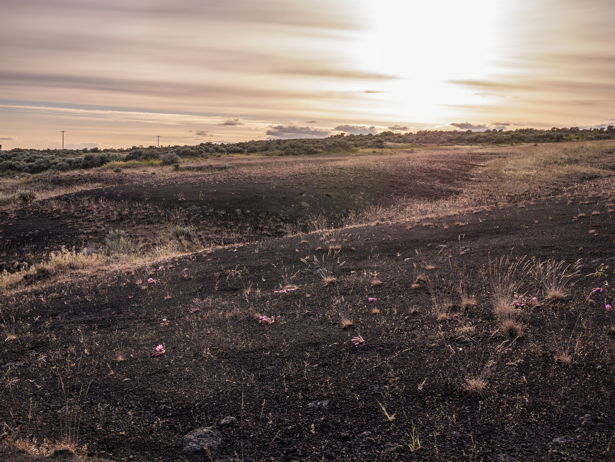 Panasonic Lumix DMC-GX7 + Panasonic Lumix G 20mm F1.7 ASPH sample photo. Martian glow photography