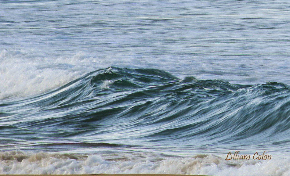 Canon EF-S 55-250mm F4-5.6 IS STM sample photo. Ola photography