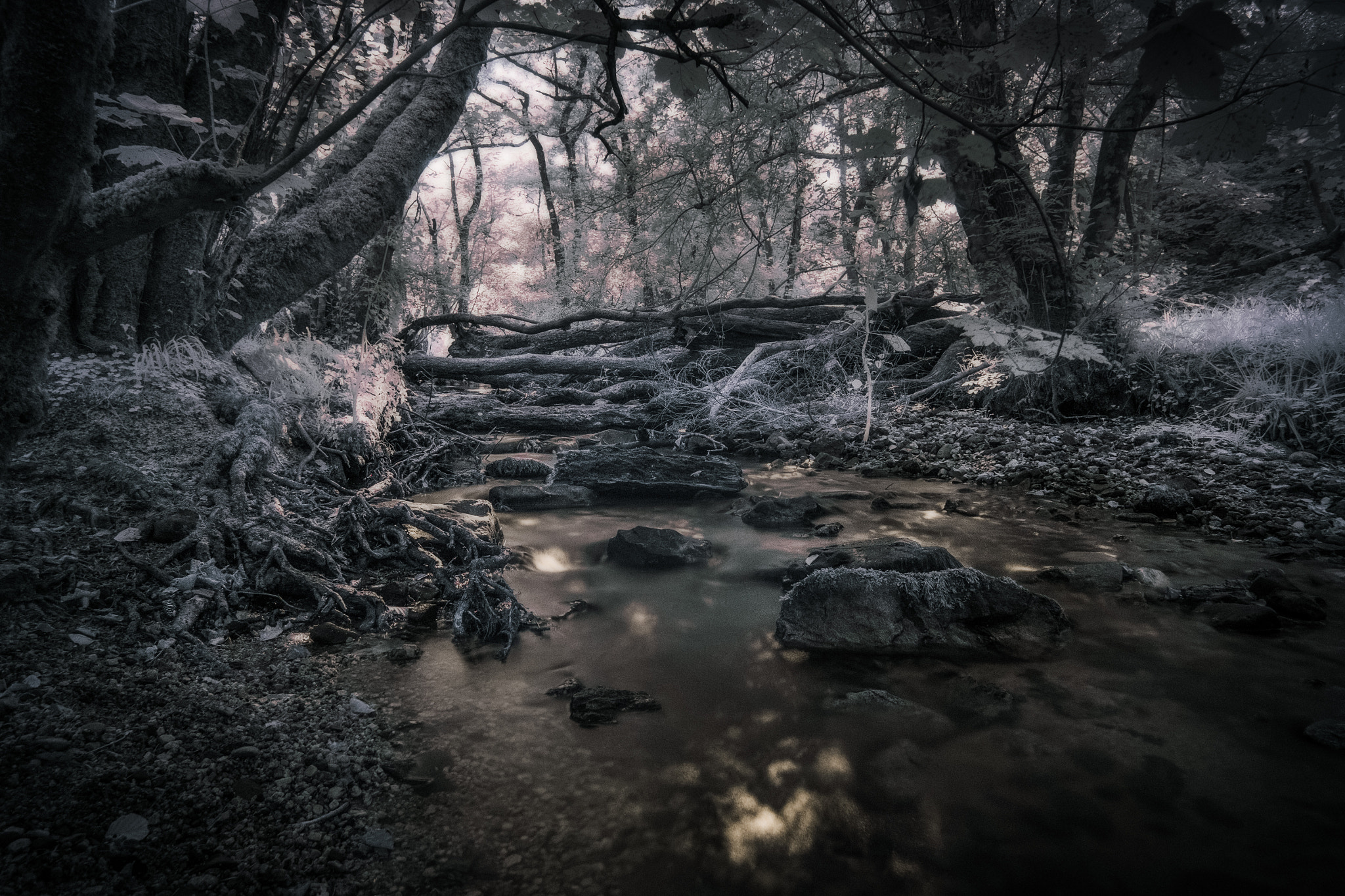 Fujifilm X-M1 + Fujifilm XF 14mm F2.8 R sample photo. A river runs through it... photography