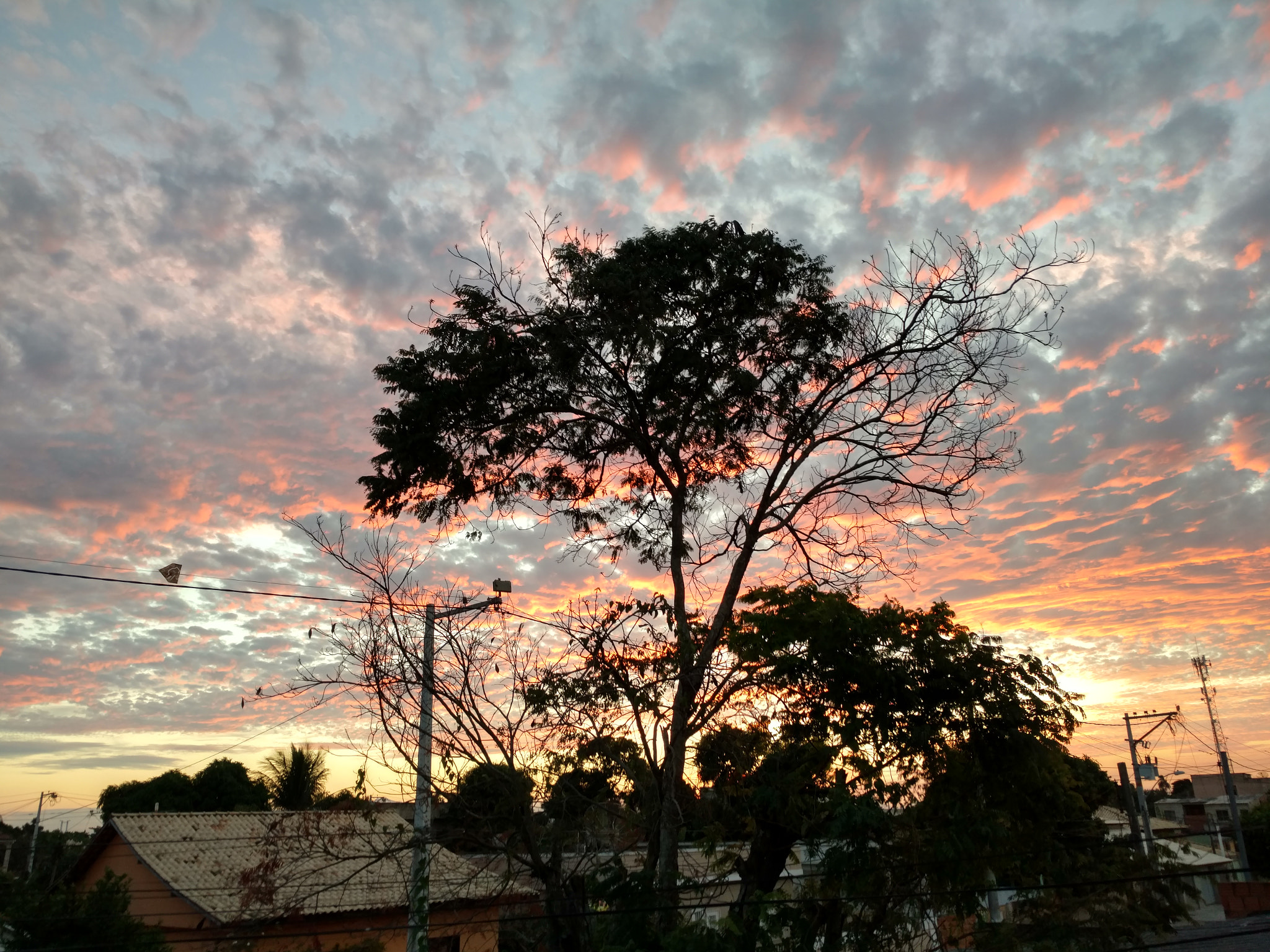 Motorola Moto X Force sample photo. Sunset and tree photography