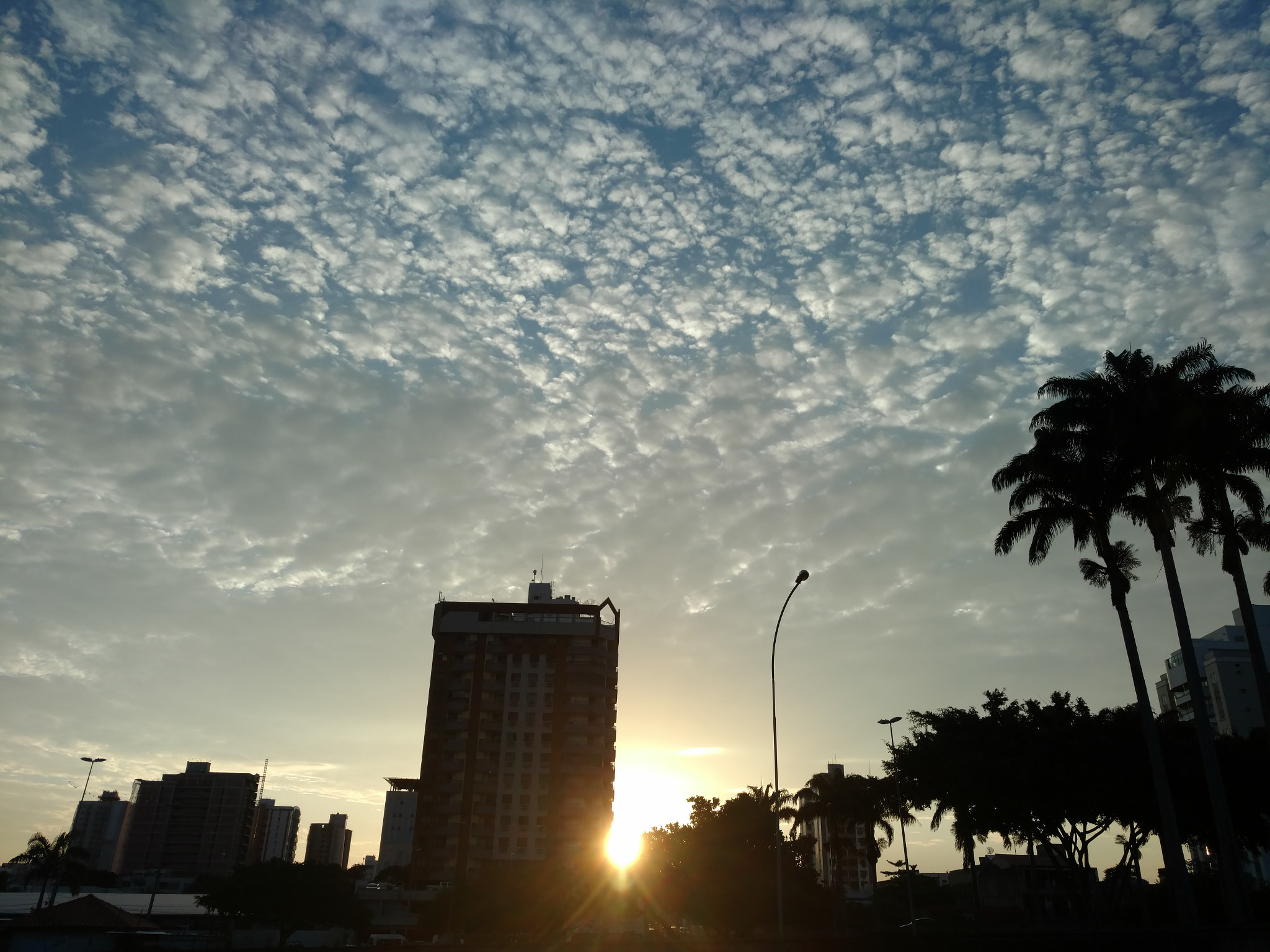 Motorola Moto X Force sample photo. Sky of city  photography