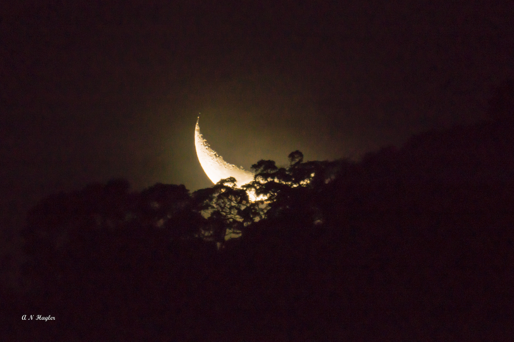 Sony SLT-A77 + Sony 500mm F8 Reflex sample photo. New moon in distant trees photography