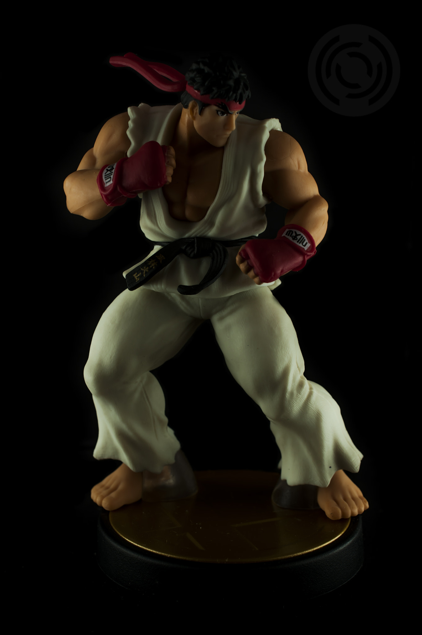 Nikon AF-S DX Micro Nikkor 40mm F2.8 sample photo. Ryu photography