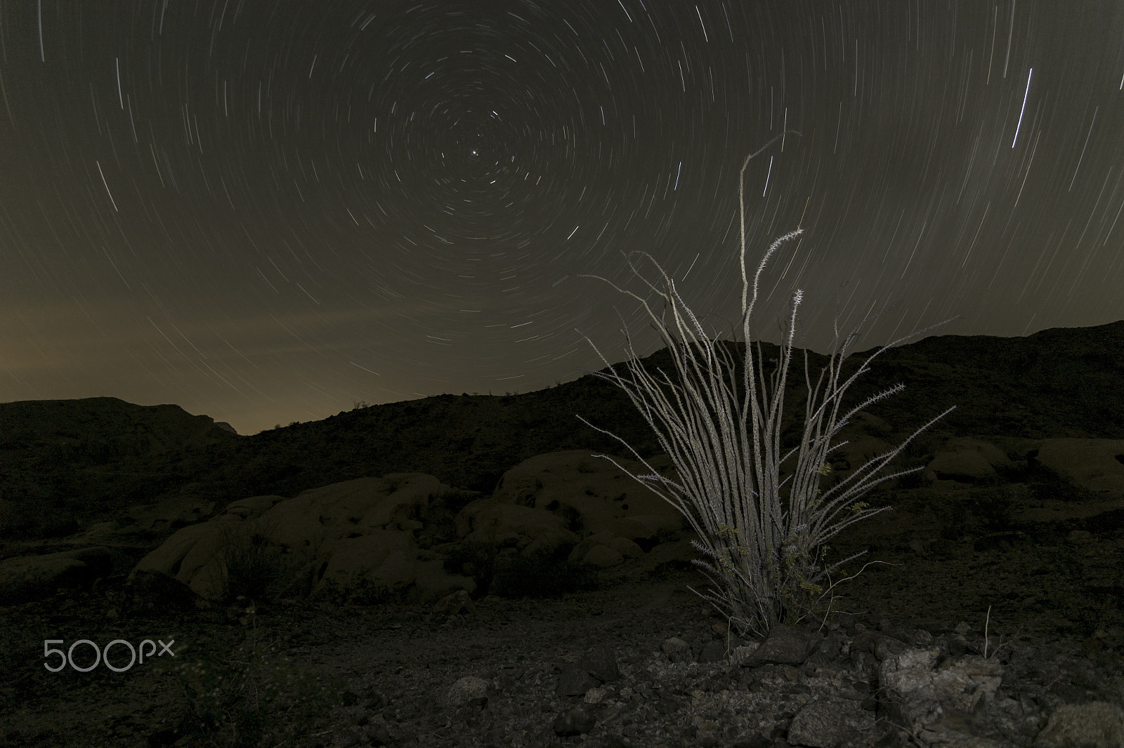 Canon EOS 1200D (EOS Rebel T5 / EOS Kiss X70 / EOS Hi) sample photo. Star trails over ocotillo brush photography