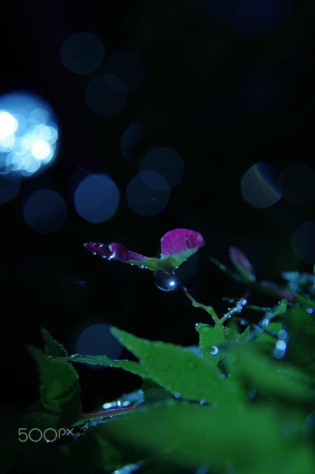 Sigma 17-70mm F2.8-4.5 DC Macro sample photo. Night flight photography