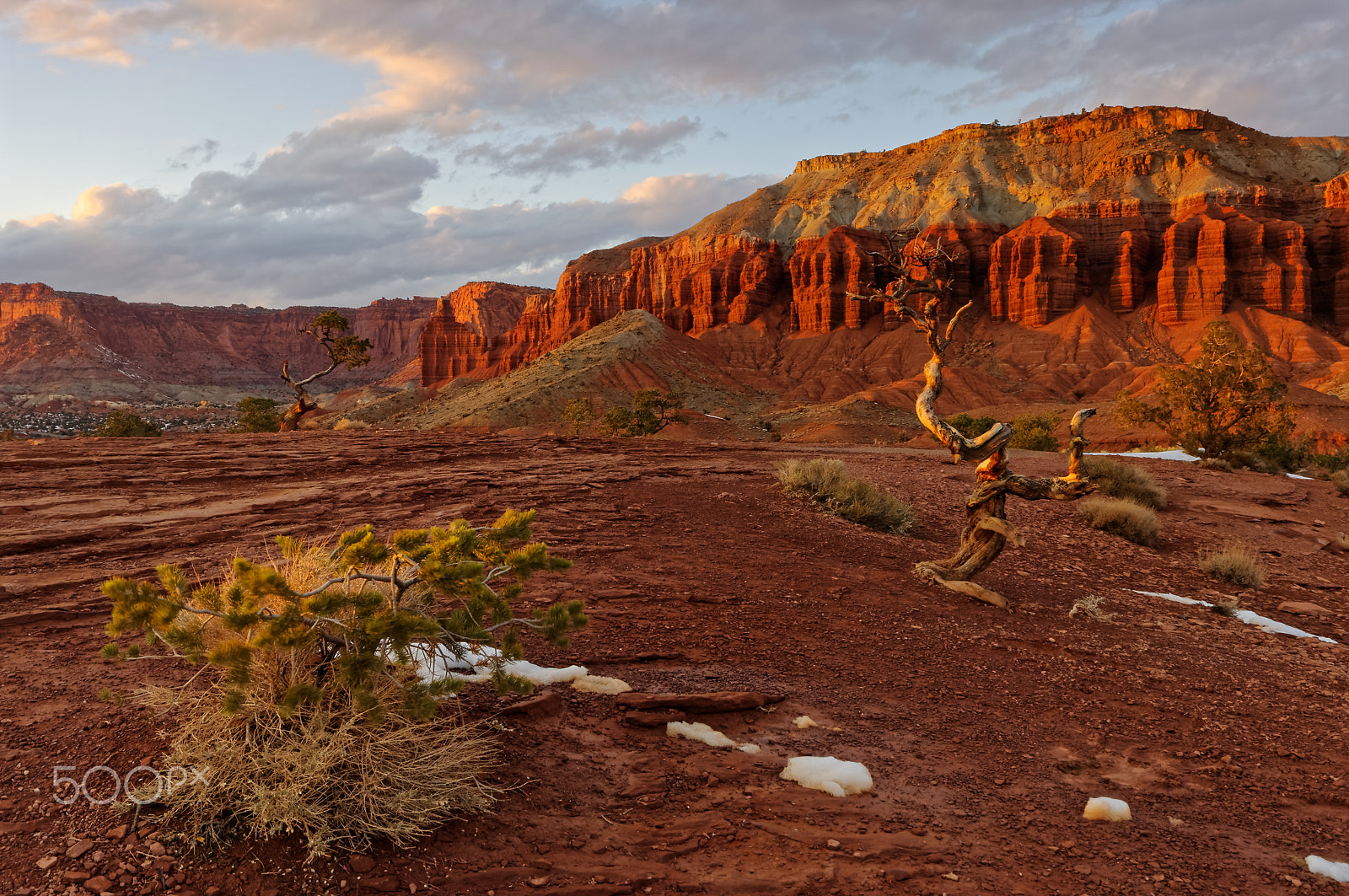Sigma AF 10-20mm F4-5.6 EX DC sample photo. Dancing trees of capitol reef photography