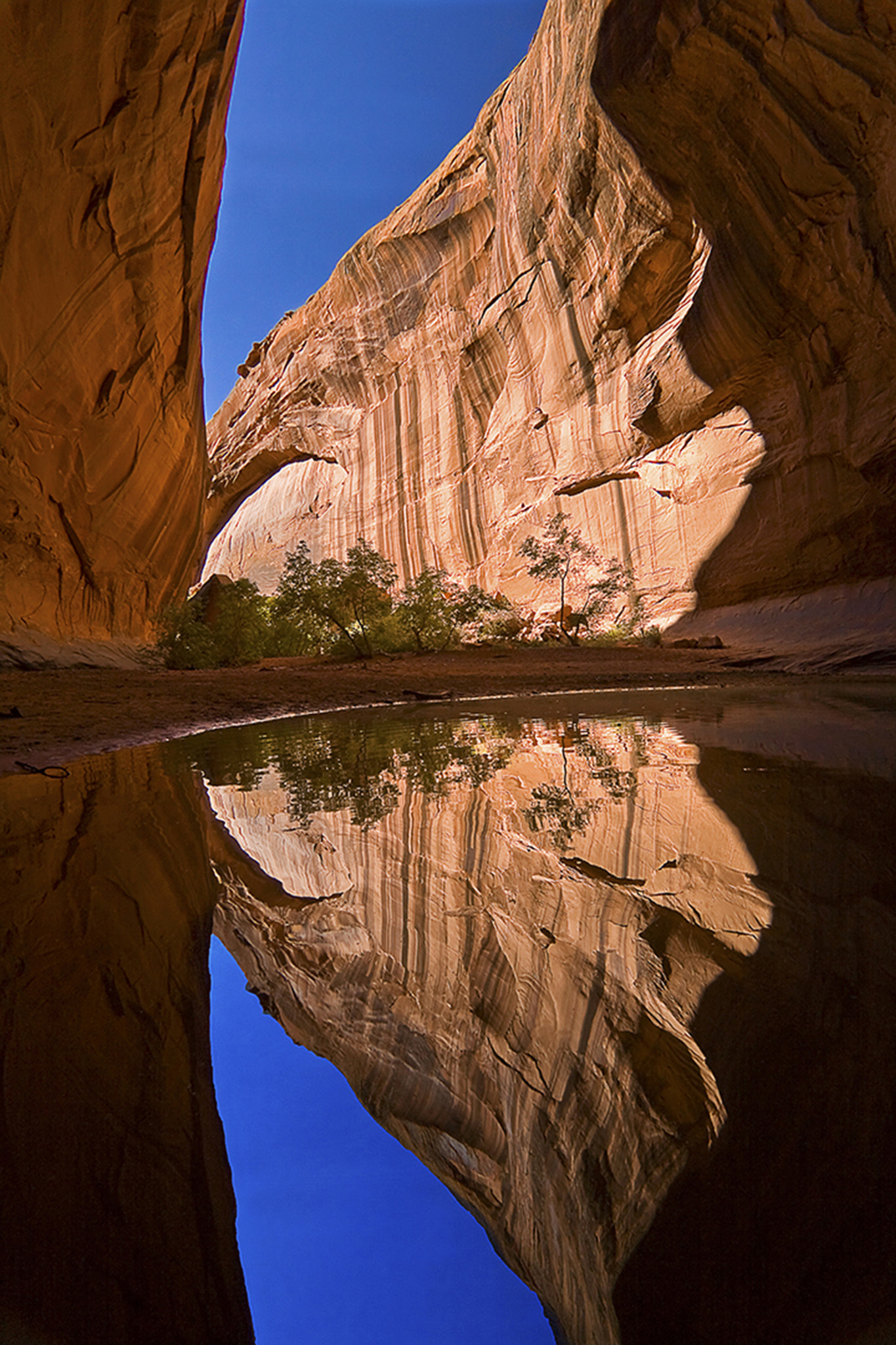 Canon EOS 5D + Canon EF 16-35mm F2.8L USM sample photo. Neon canyon photography
