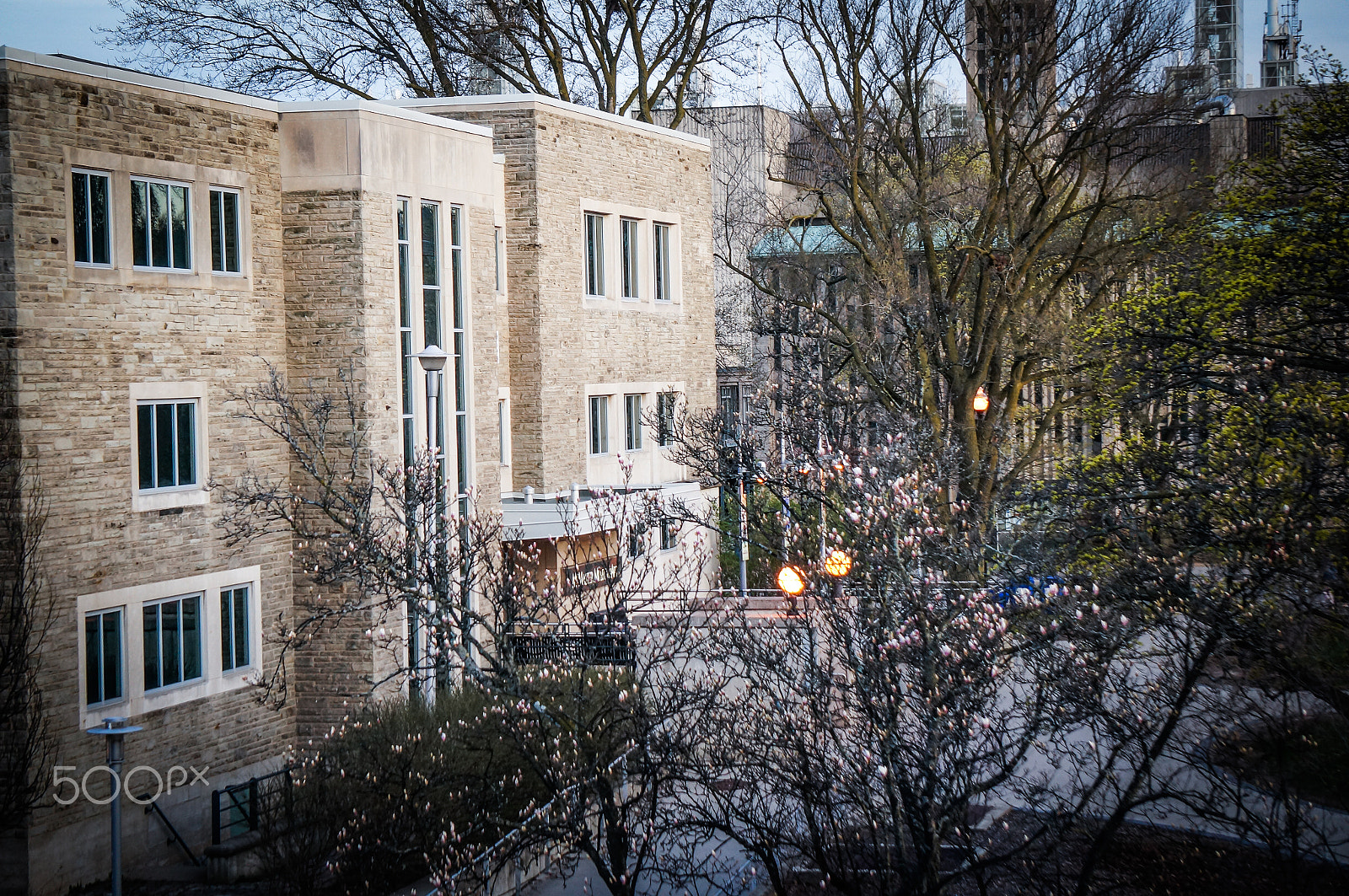 Sony Alpha NEX-3N + Sony E 55-210mm F4.5-6.3 OSS sample photo. Museum on campus | mcmaster university photography