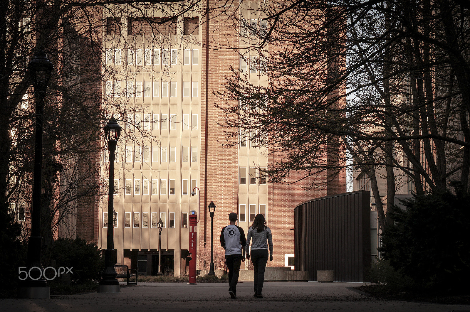Sony Alpha NEX-3N + Sony E 55-210mm F4.5-6.3 OSS sample photo. Outside musc | mcmaster university photography
