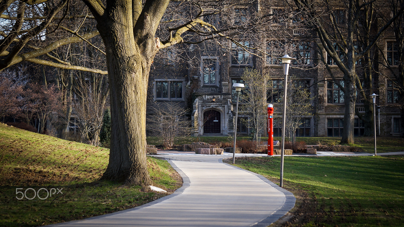 Sony Alpha NEX-3N + Sony E 55-210mm F4.5-6.3 OSS sample photo. The path to hamilton hall | mcmaster university photography