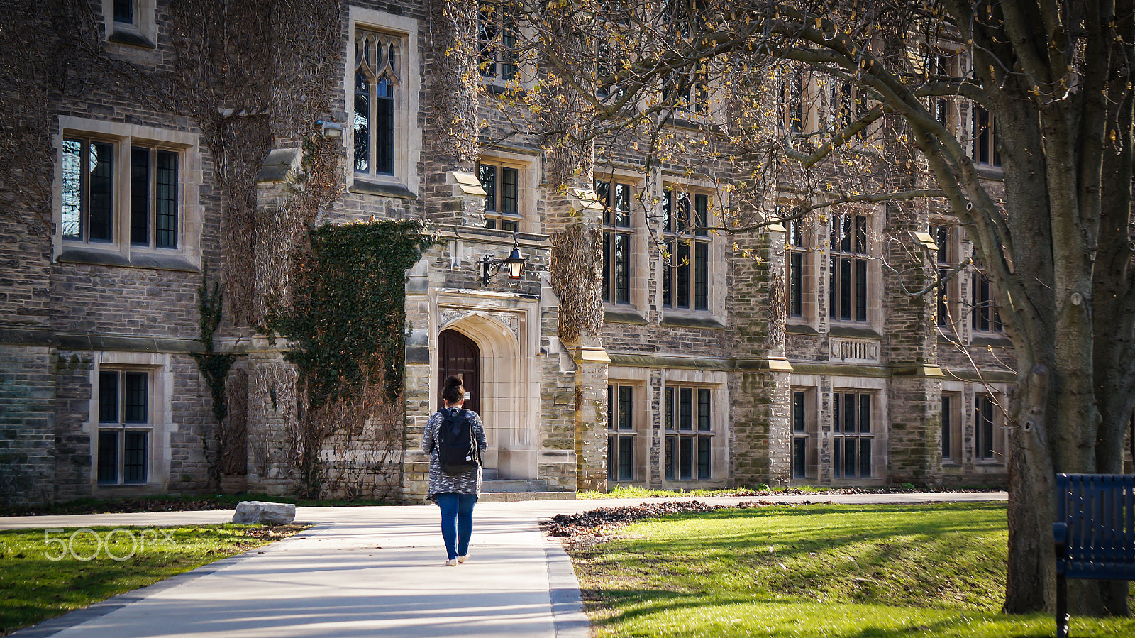Sony Alpha NEX-3N + Sony E 55-210mm F4.5-6.3 OSS sample photo. Where marauders stroll | mcmaster university photography
