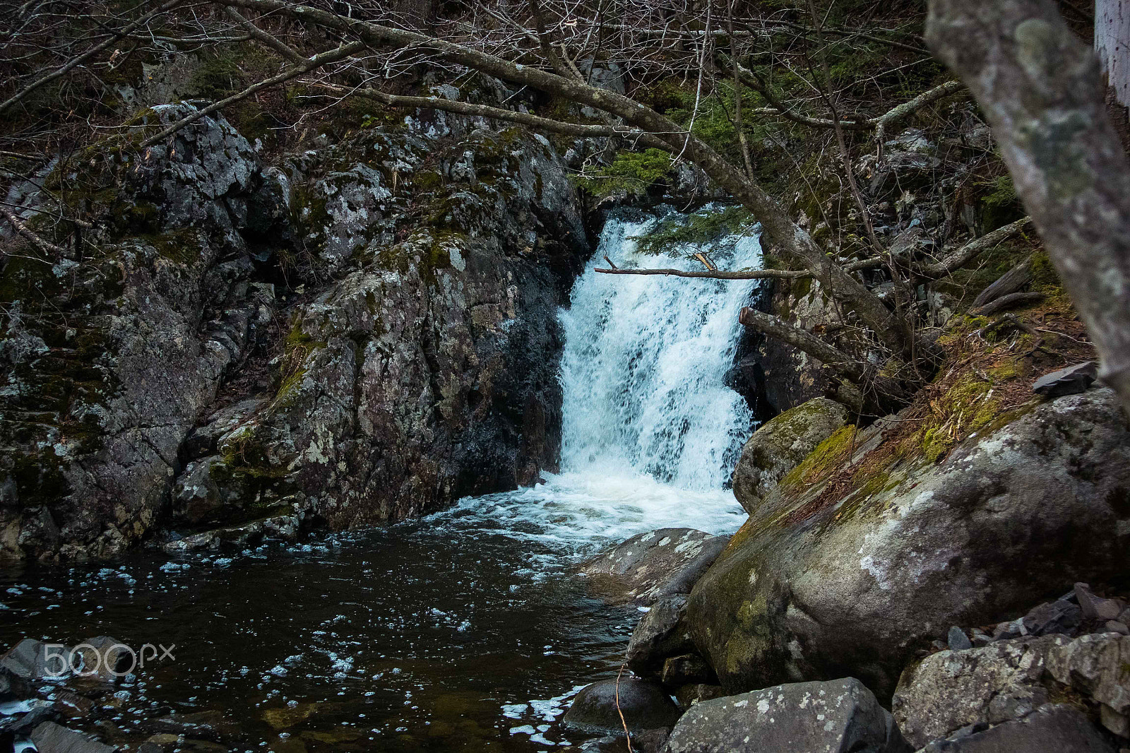Nikon 1 V2 sample photo. Forest river photography