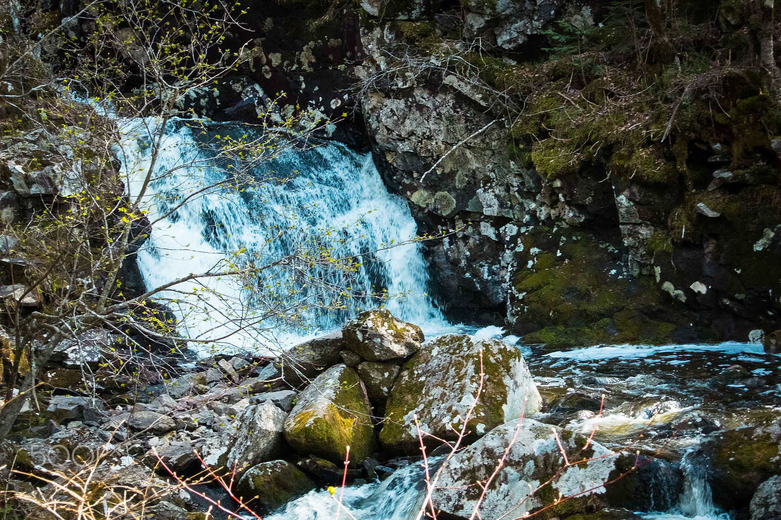 Nikon 1 V2 sample photo. Forest river photography