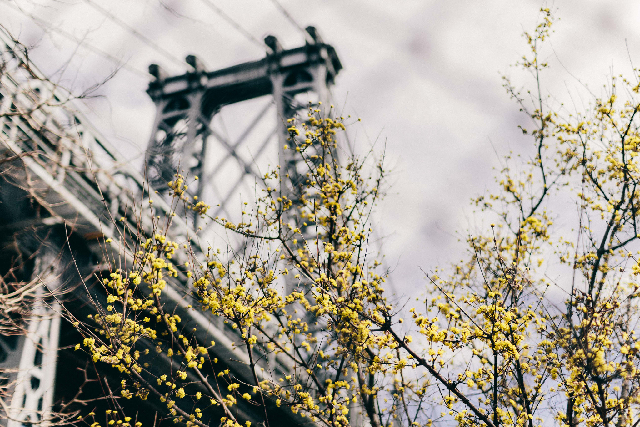 Sigma 30mm F1.4 EX DC HSM sample photo. Early spring photography