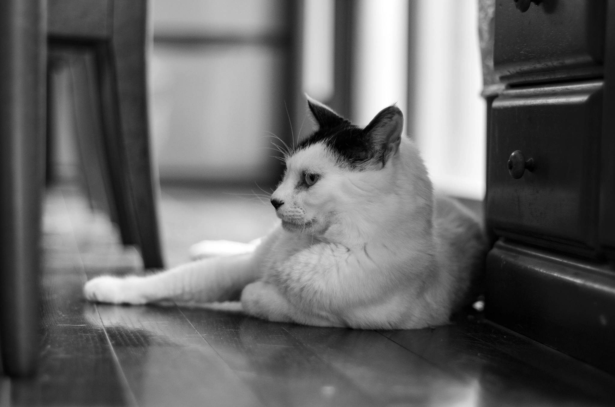 Pentax K-5 IIs sample photo. Really comfortable here photography