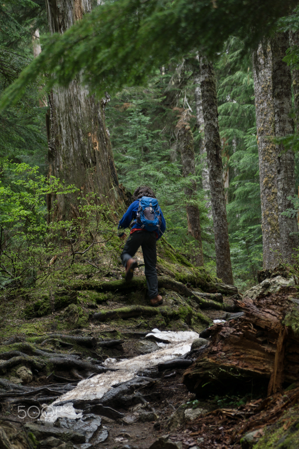 Sony a6000 + Sony Vario Tessar T* FE 24-70mm F4 ZA OSS sample photo. Hiker photography