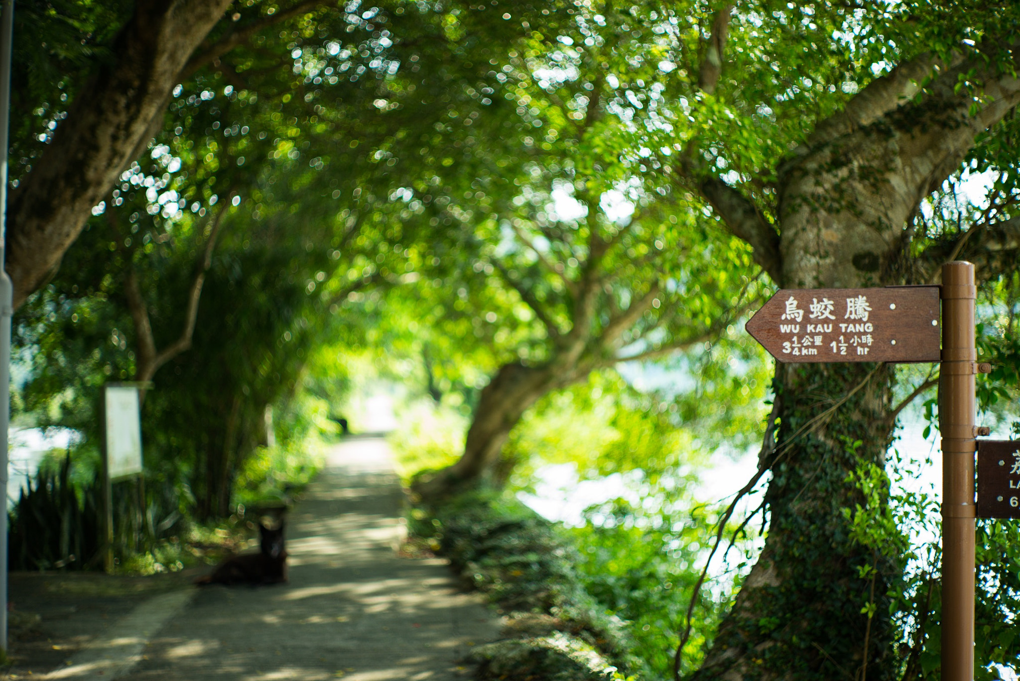 Summilux-M 1:1.4/50 sample photo