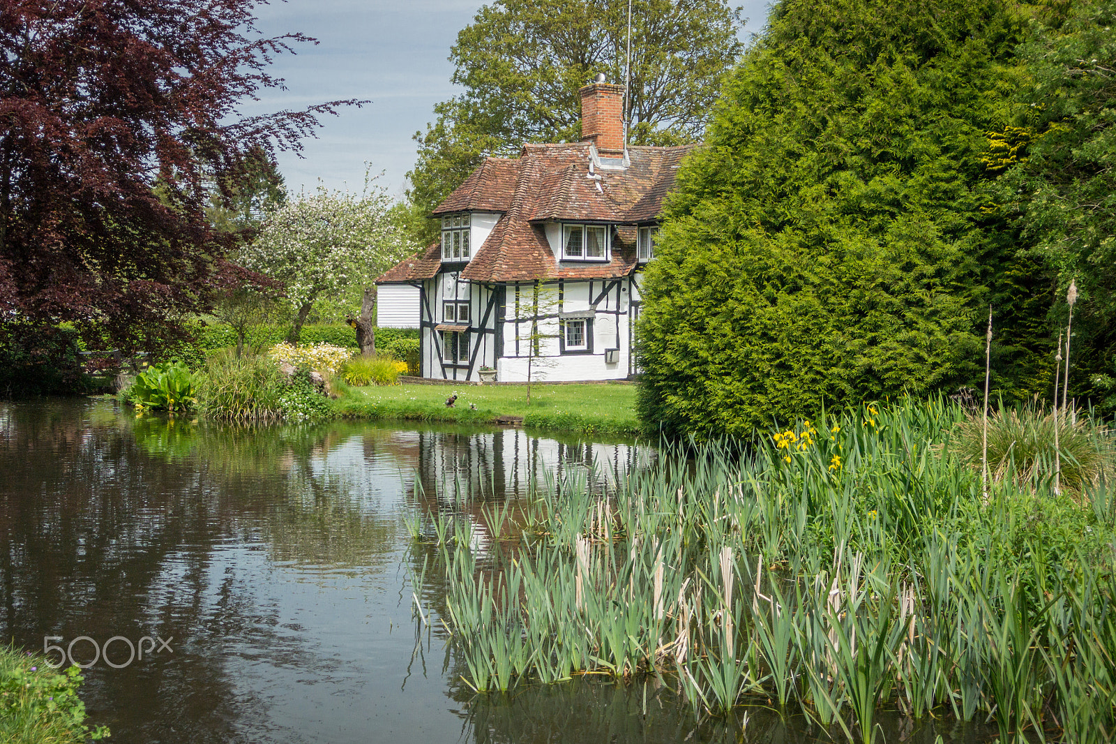 Nikon 1 V2 sample photo. Pretty cottage in kent, uk photography
