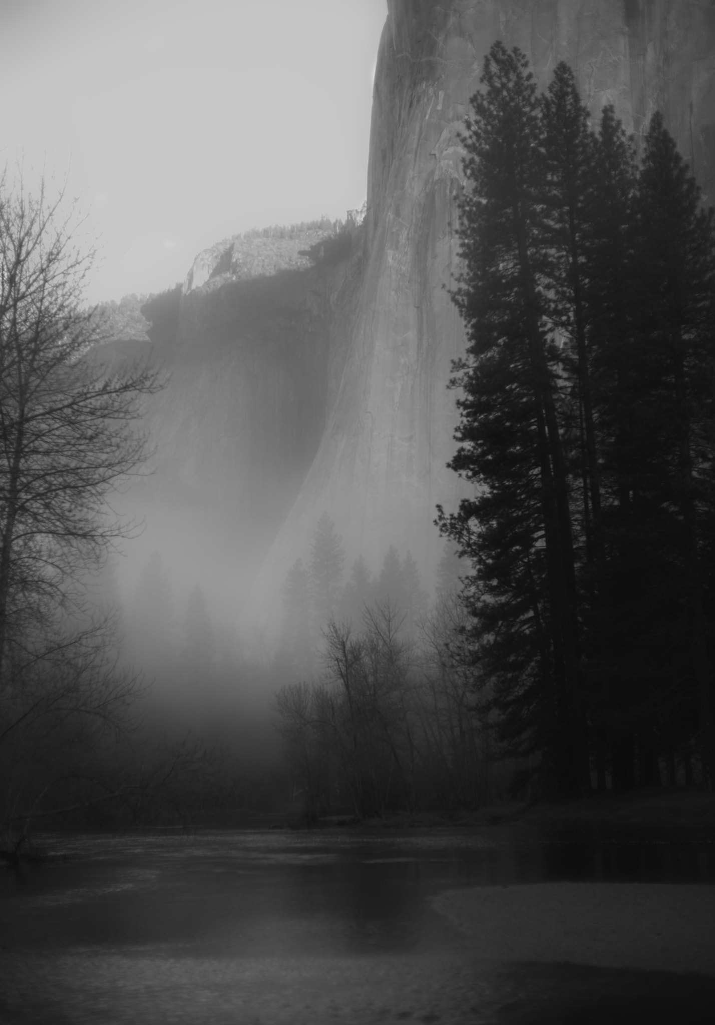 Leica Noctilux-M 50mm F0.95 ASPH sample photo. Morning mist photography