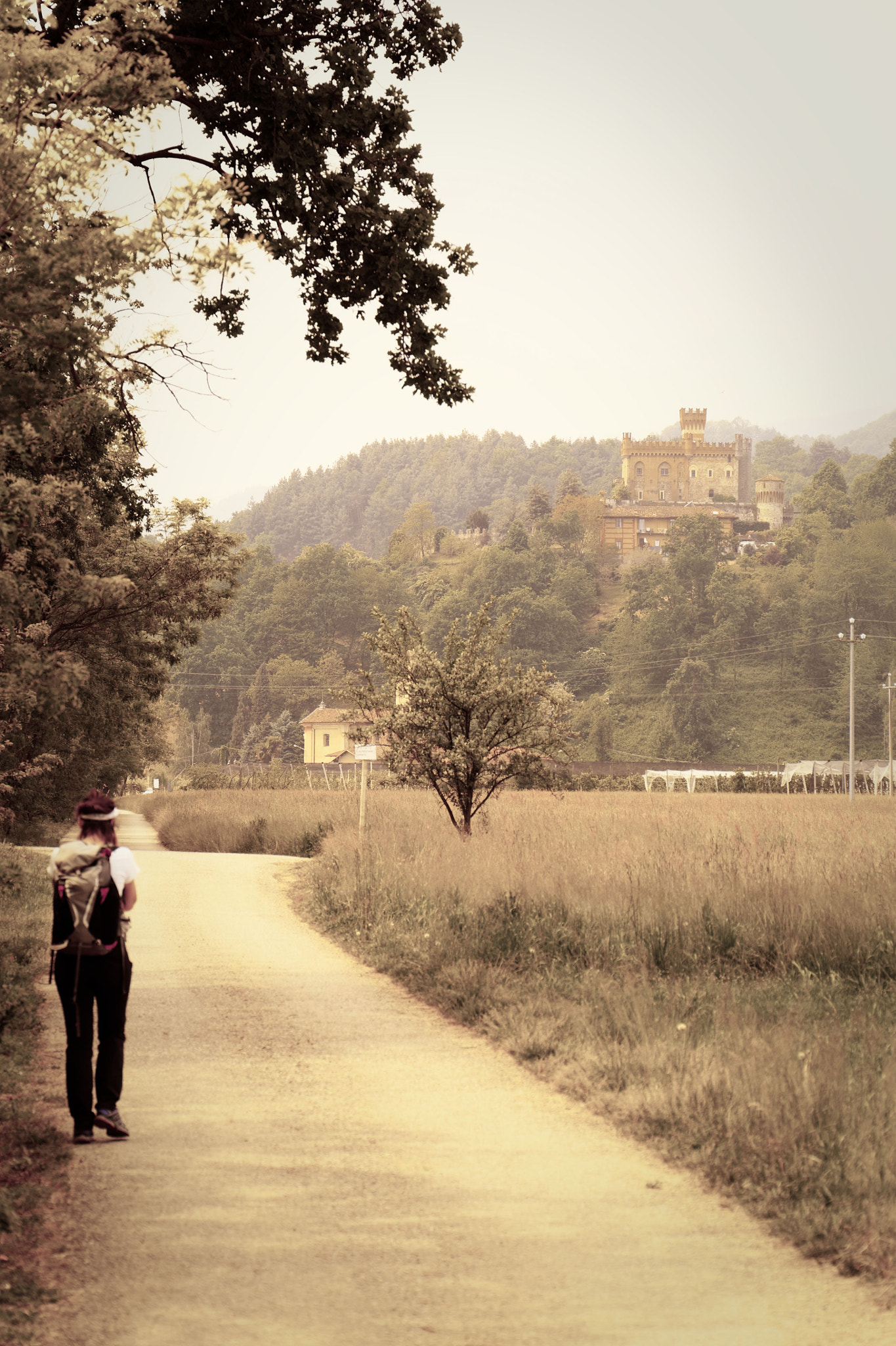 Canon EF 24-105mm F3.5-5.6 IS STM sample photo. Walking to the castle photography