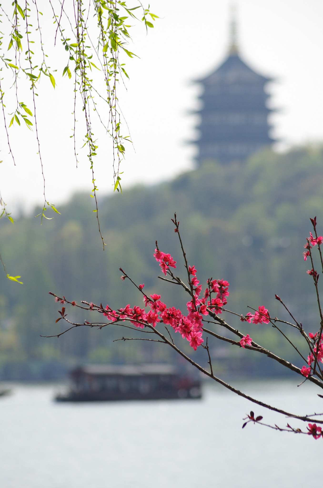 smc PENTAX-DA L 55-300mm F4-5.8 ED sample photo. Springtime photography