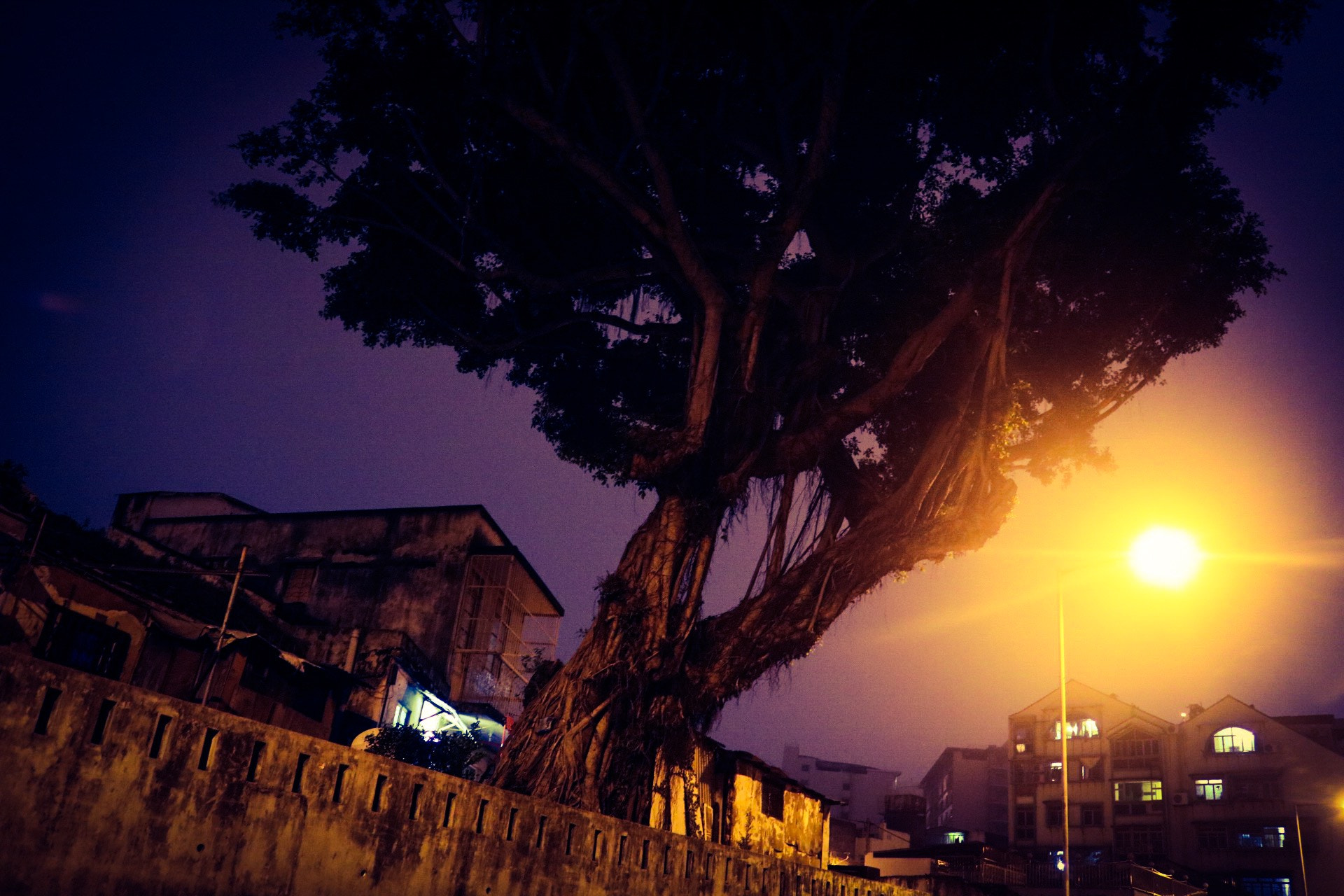 Canon EOS 760D (EOS Rebel T6s / EOS 8000D) sample photo. Sodium light ~ photography