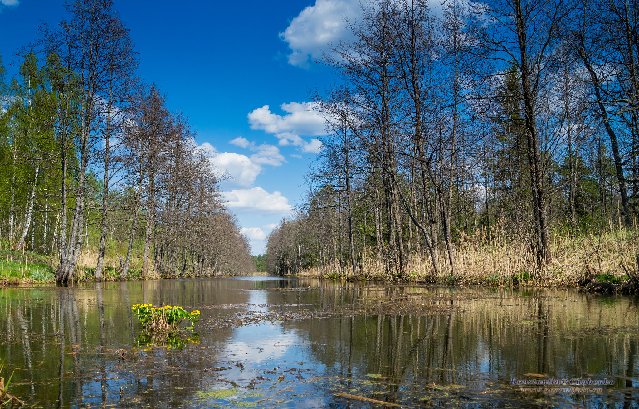 Sony a99 II + Sony 28-75mm F2.8 SAM sample photo. Вепрева Пустнынь photography