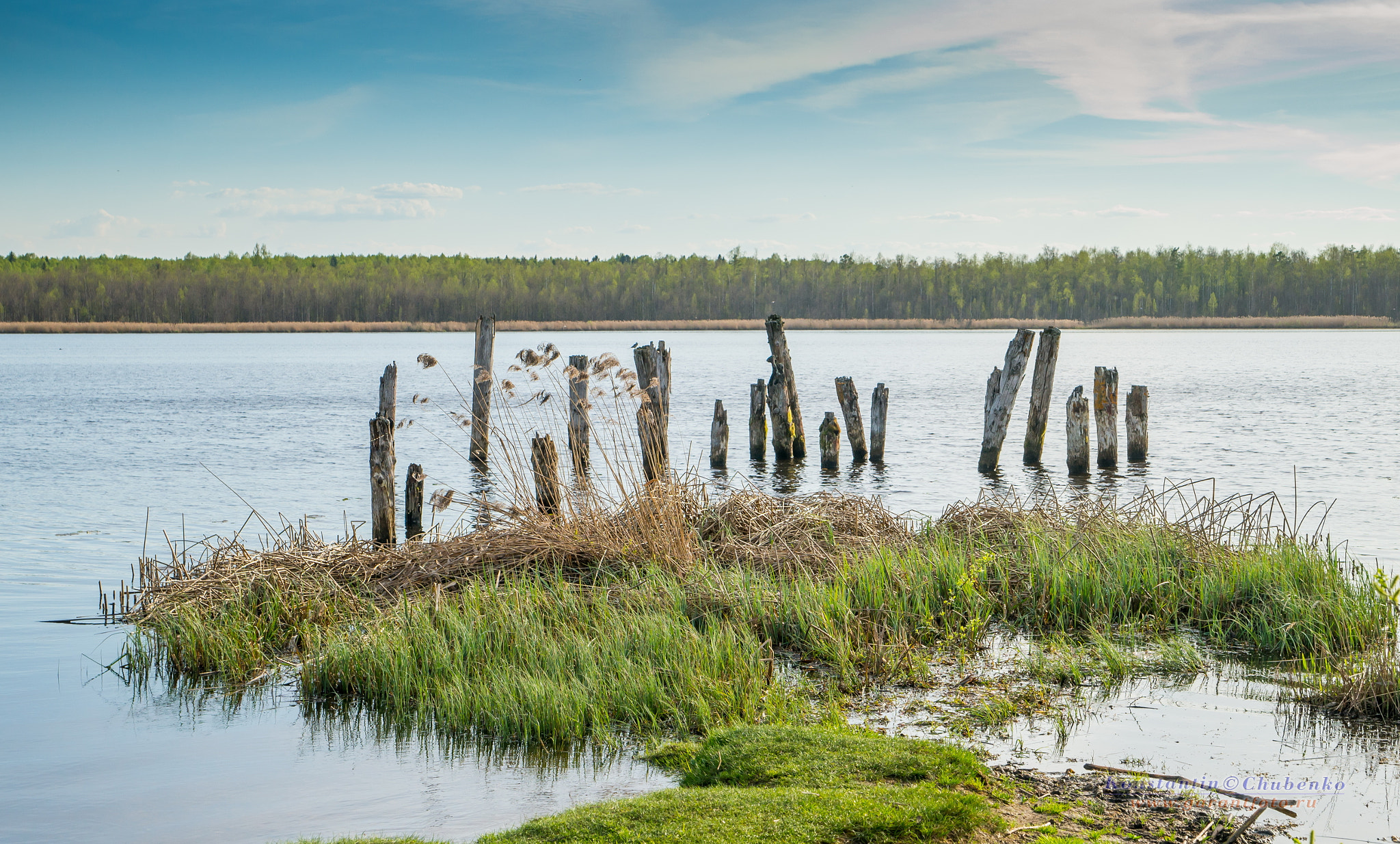 Sony a99 II sample photo. Вепрева Пустнынь photography