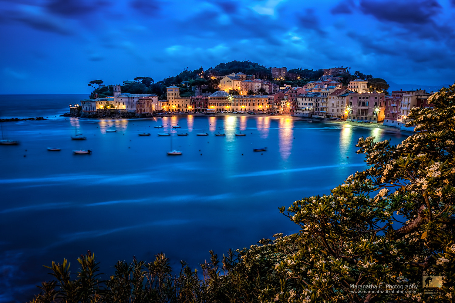 Canon TS-E 24.0mm f/3.5 L II sample photo. East bay at dawn photography