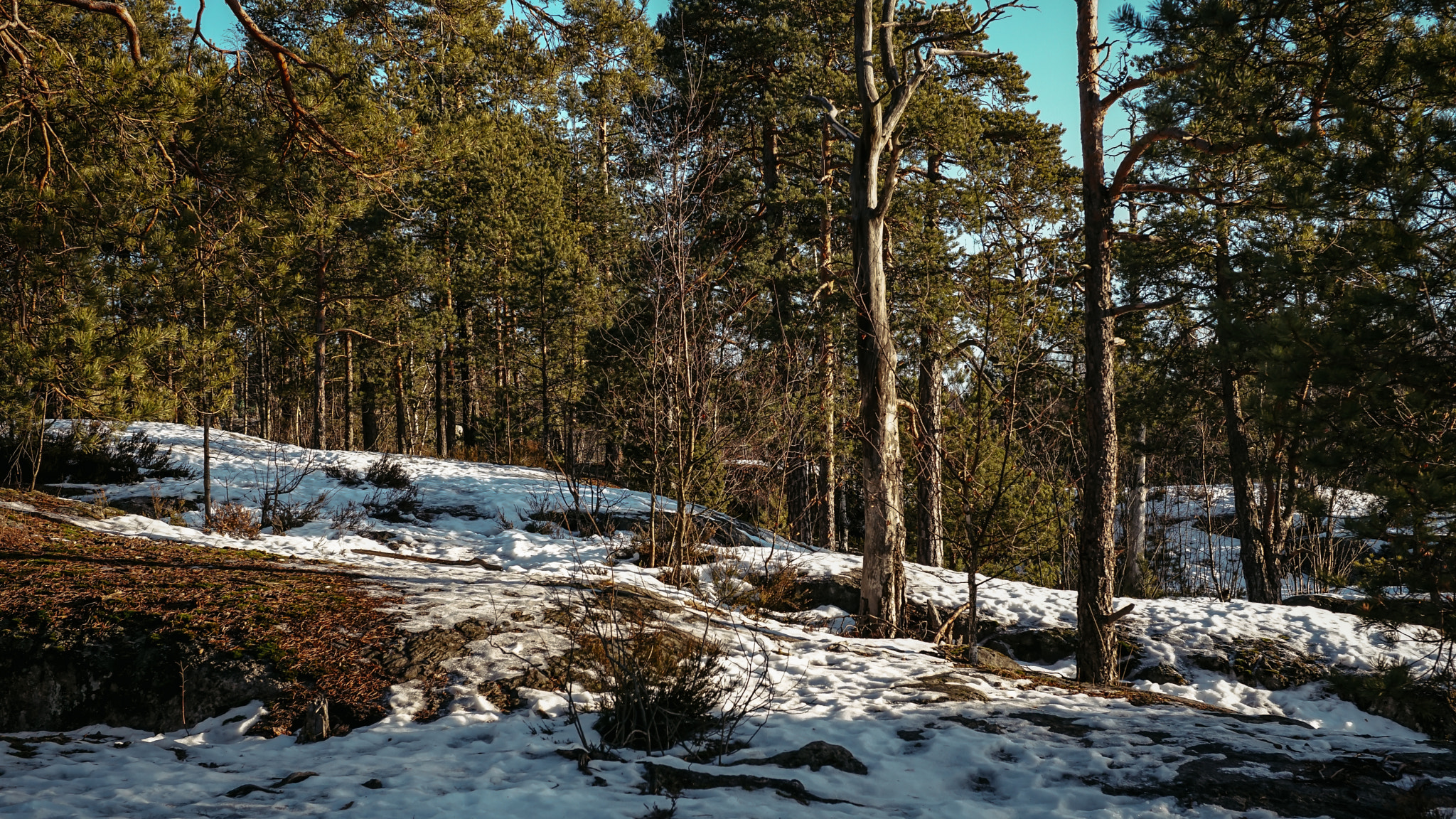 E 32mm F1.8 sample photo. Kalkkikalio hike trail photography