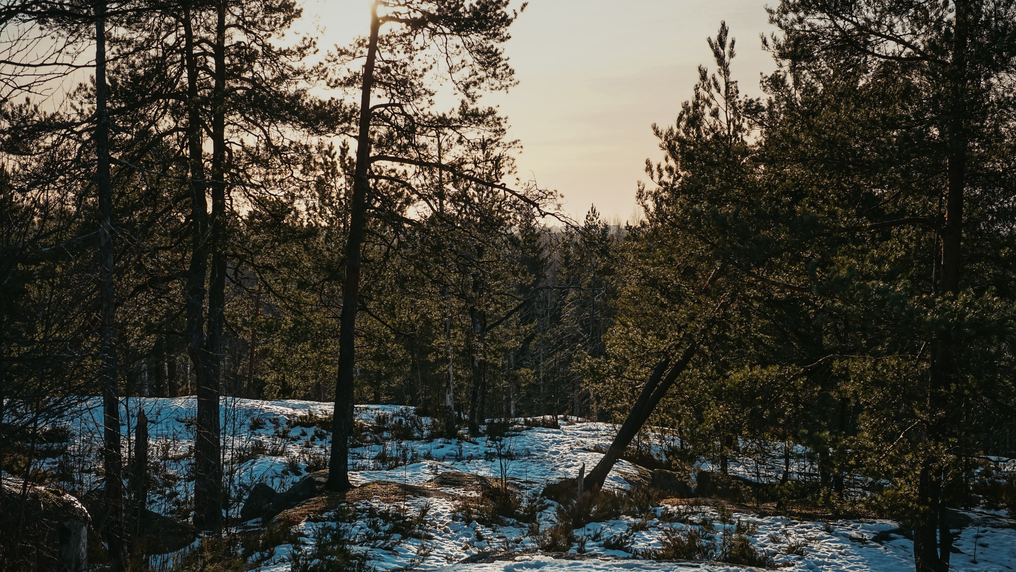 E 32mm F1.8 sample photo. Kalkkikalio hike trail photography