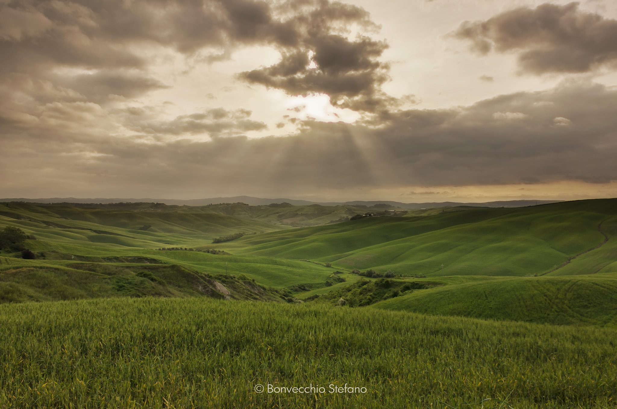 Nikon D5100 + Sigma 17-70mm F2.8-4 DC Macro OS HSM | C sample photo. Morning light photography