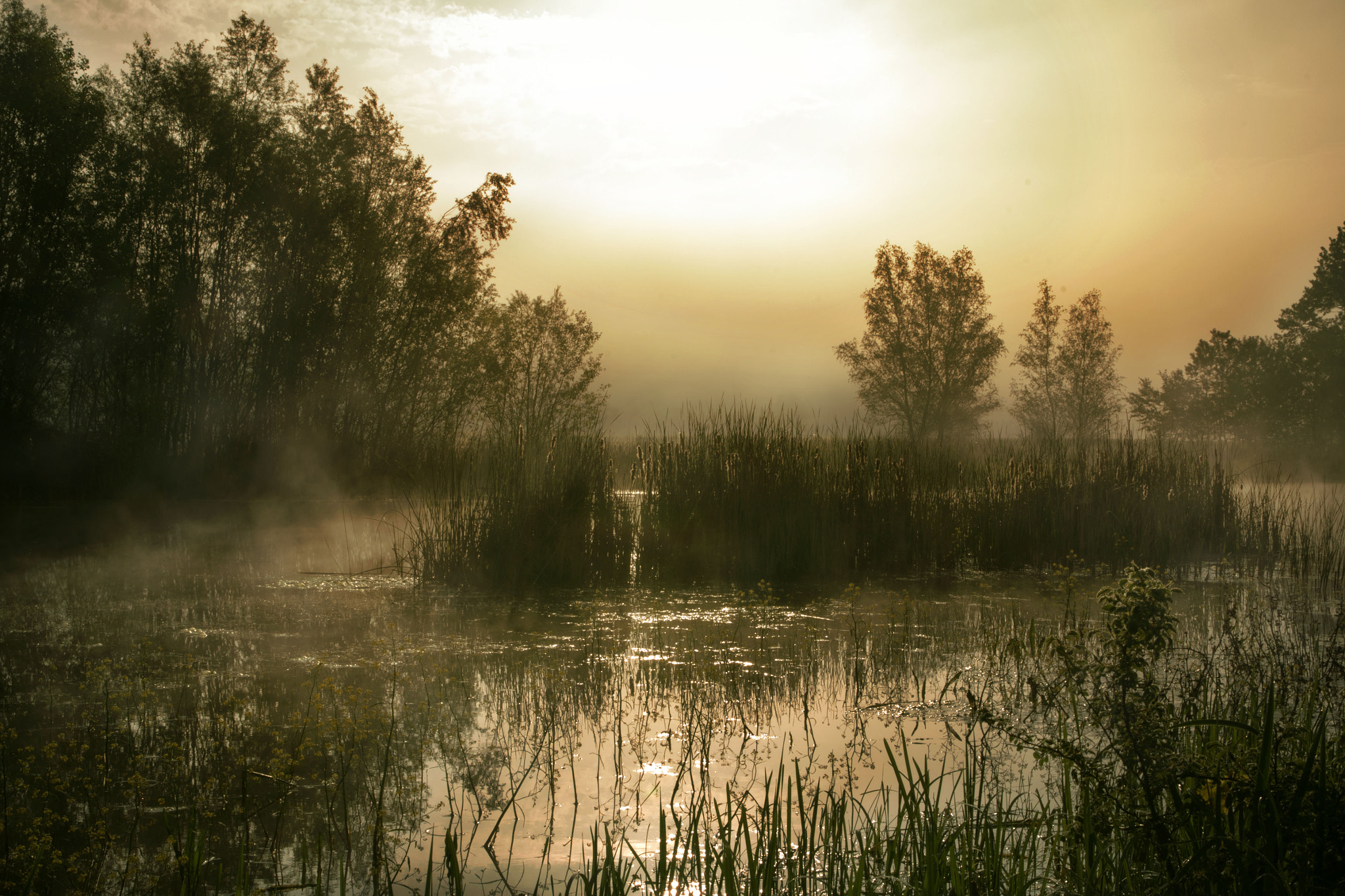 Sigma 17-70mm F2.8-4 DC Macro OS HSM | C sample photo. Lake in the morning photography